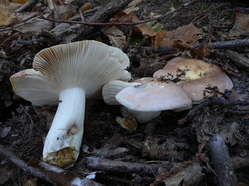 Forse l''ultima bellissima giornata..!!